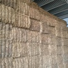 500mt Vetch Hay 8x4x3 Bales 