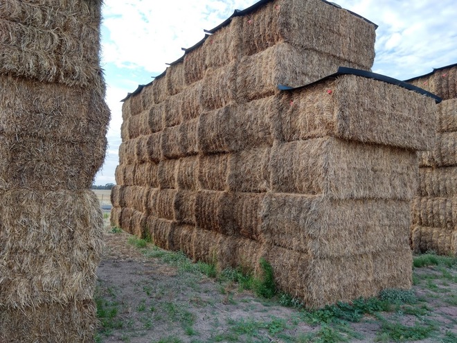 100mt Vetch Hay 8x4x3 Bales