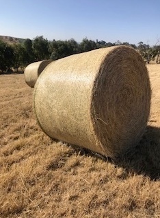 Round Hay Bales  5  x 4  Meadow/Clover 