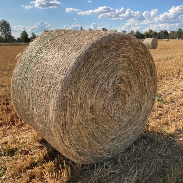 Oaten Hay 5x4 Round Bale 