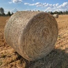 Oaten Hay 5x4 Round Bale 