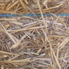 220mt Wheaten Straw 480-500kg 8x4x3 Bales (Windrowed & Steamed)