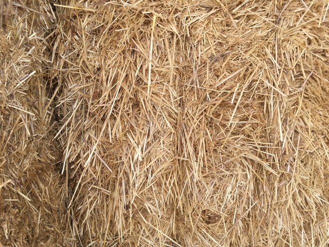 New Season Barley Straw 8x3x3