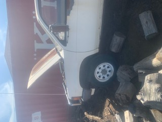 Under Auction - 1986 Nissan Ute - 2%  +  GST Buyers Premium On All Lots 