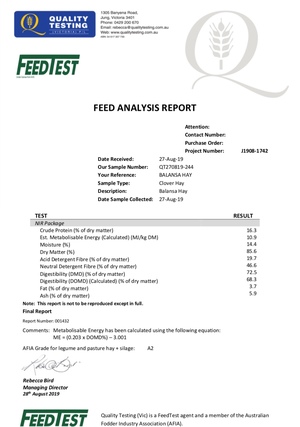 Balansa Clover Hay 8x4x3 800kg Bales