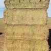 40mt Canola Hay 8x4x3 Approx 600-650kg Bales. (1 x B Double)