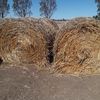 Oaten Hay 5x4 Round Bales (New Season)