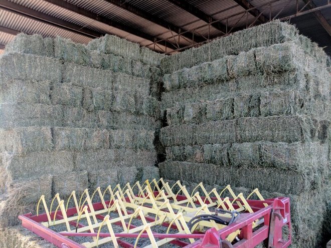 Lucerne Hay - Delivery to Canberra this weekend the 20th of July