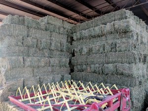 Lucerne Hay - Delivery to Canberra this weekend the 20th of July