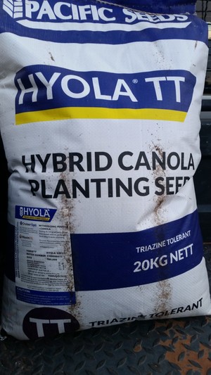 Hyola 559TT canola seed