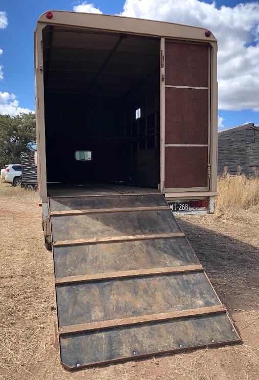 International Horse Truck