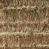 200mt Oaten Hay 600kg 8x4x3 Bales ex farm