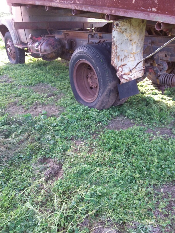 Under Auction - Leyland Comet Truck- Tipper- 2% + GST Buyers Premium On All Lots 