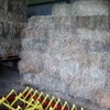 1000 x Grassy Lucerne Hay Small Squares