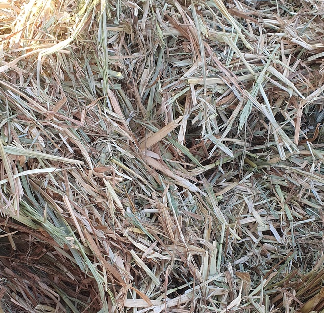 450mt Oaten Hay 8x4x3 Bales