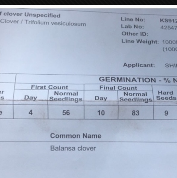 Arrowleaf Clover Seed