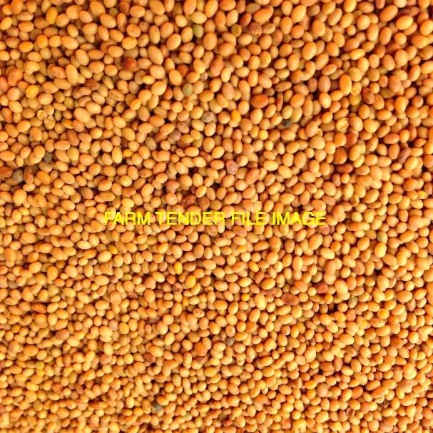 Shaftel & Arrowleaf Clover Seed For Sale 