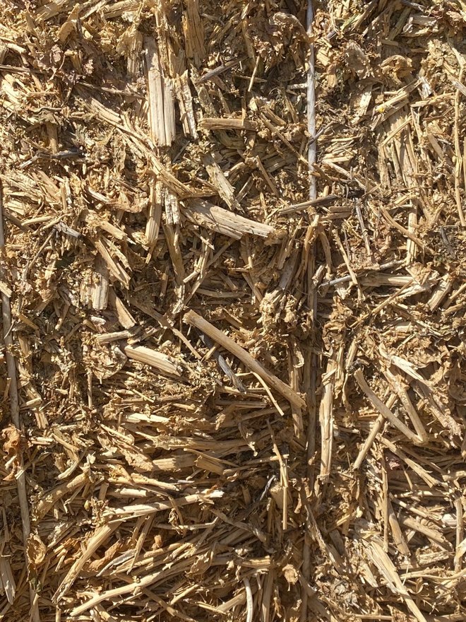 New Season Canola Hay