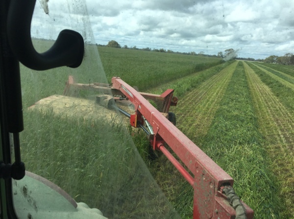Massey Ferguson 1372 mower conditioner