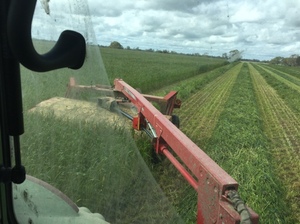 Massey Ferguson 1372 mower conditioner