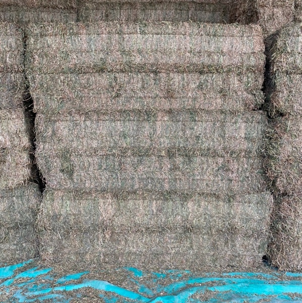 200mt Vetch Hay 580kg 8x4x3 Bales (New Season)