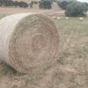 Lucerne & Rye Grass Hay 5x4 Round Bales
