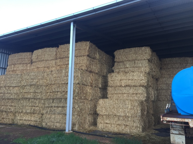 350 x 8x4x3 Bales of Oaten Hay Ave 650 Kg's