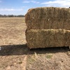 Clover hay