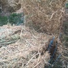 Oaten Hay - Big Squares