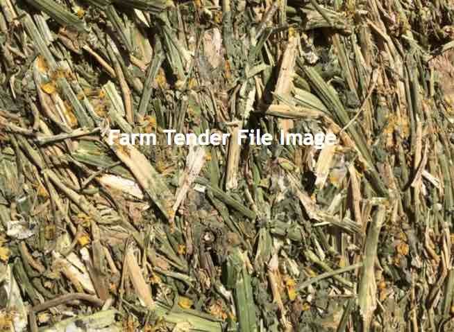 100mt Canola Hay 8x4x3 Bales
