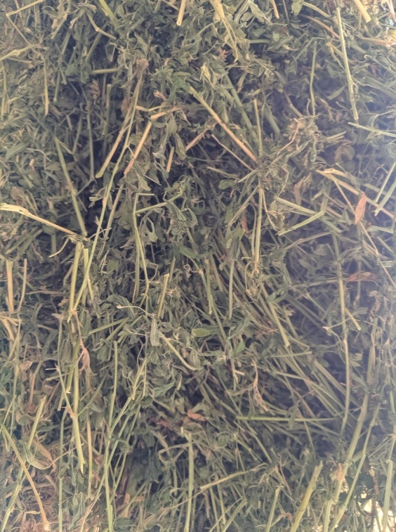 400 x Lucerne Hay 8x4x3 Bales (3rd & 4th cut)