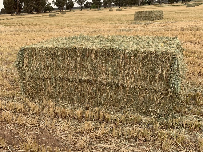 Wheaten Hay 8x4x3 Bales 'New Season'