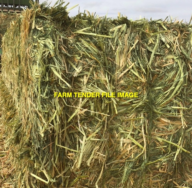 45mt Millet Hay 600kg 8x4x3 Bales