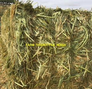45mt Millet Hay 600kg 8x4x3 Bales