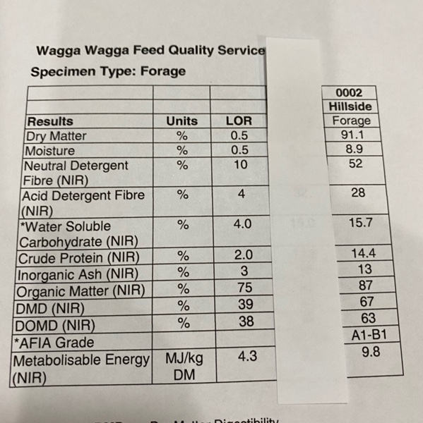 High Protein Cereal hay