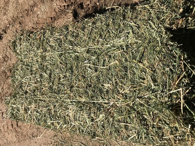 Prime Lucerne Small Squares 