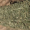 Prime Lucerne Small Squares 