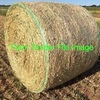 Oaten Hay Rolls  Price is per ton