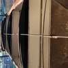 Macey Three Bay Grouper