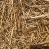 Barley straw for sale in 8x4x3’s