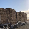 1000m/t Shedded Vetch Hay Seller to Freight
