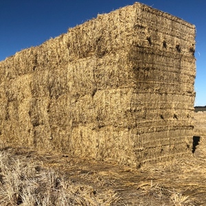 8x4x3 rice straw