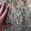 250mt Wheaten Hay 650kg 8x4x3 Bales