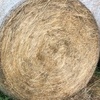 Hay Rounds 5' x 4'