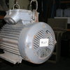 STONE PLATT (McCOLL) MEZ 3 PHASE 30HP ELECTRICAL MOTOR – QTY 1 – DISCOUNTED PRICE $1250