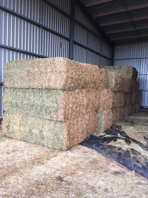 Approx. 25t Canola Hay 8x4x3 Bales conditioned and chopped could deliver $4.30/km plus GST