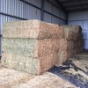 Approx. 25t Canola Hay 8x4x3 Bales conditioned and chopped could deliver $4.30/km plus GST