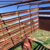 Cattle crate