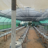 Greenhouses,(Polytunnels)
