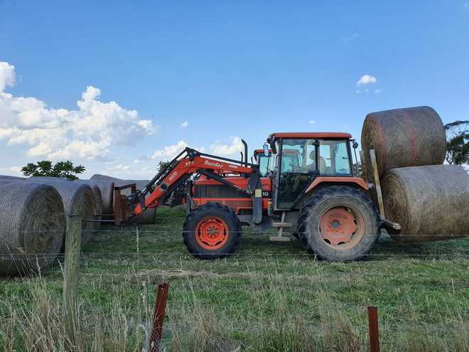 Pasture hay large rounds